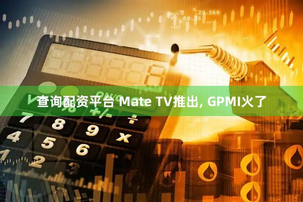 查询配资平台 Mate TV推出, GPMI火了